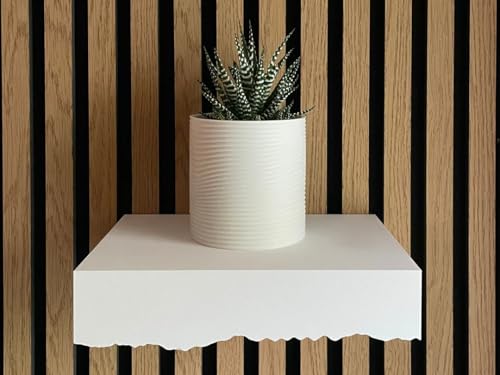 Iceberg Wall Shelf with Hidden Storage – Unique Floating Shelf with Concealed Compartment | Functional Modern Décor | 3D Printed