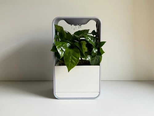 Cloud Desk Pot Planter – Unique Desk Décor with Self-Watering Design | Minimalist Indoor Plant Holder with Drip Tray | Eco-Friendly Home Office Accessory - 3d Printed